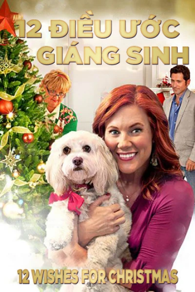 12 Điều Ước Giáng Sinh - 12 Wishes For Christmas (2011)