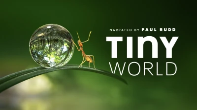 Thế Giới Siêu Nhỏ (Phần 1) - Tiny World (Season 1)