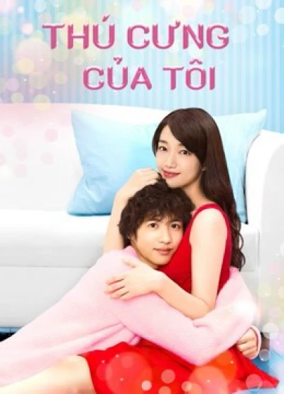 Thú Cưng Của Tôi - Kimi Wa Pet